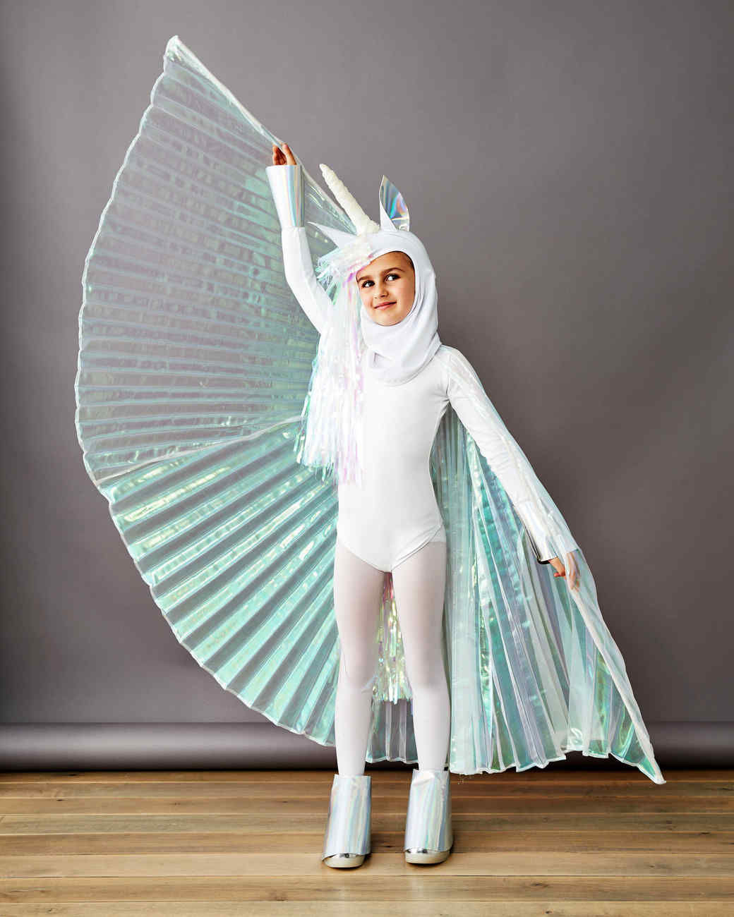 Pegasus,Unicorn Costume
